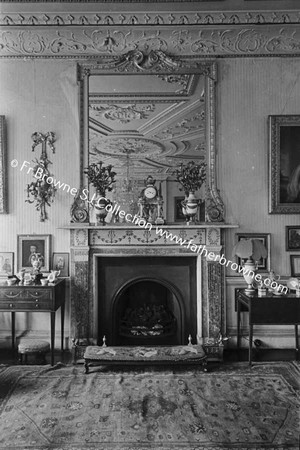 FRENCHPARK THE HOUSE DRAWING ROOM FIREPLACE AT EAST END (CAVE LAMP)